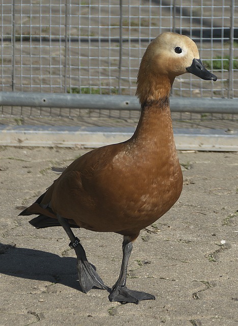 的真实写照
